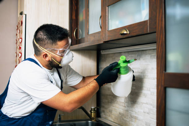 Best Cockroach Control Services  in Westville, NJ