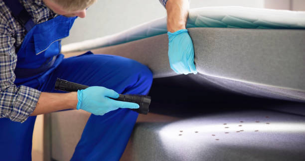 Flea Control Services in Westville, NJ