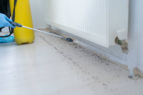 Best Pest Inspection Near Me  in Westville, NJ